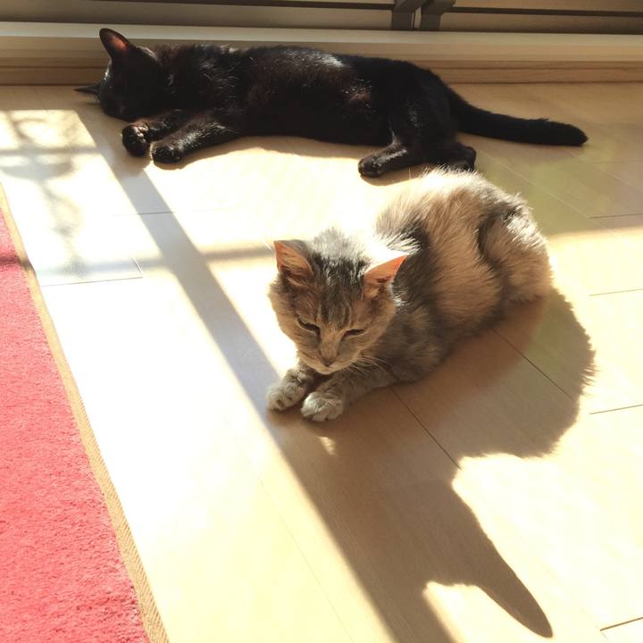 Db24cd4f 8365 455e b31f 69825eea2bbb