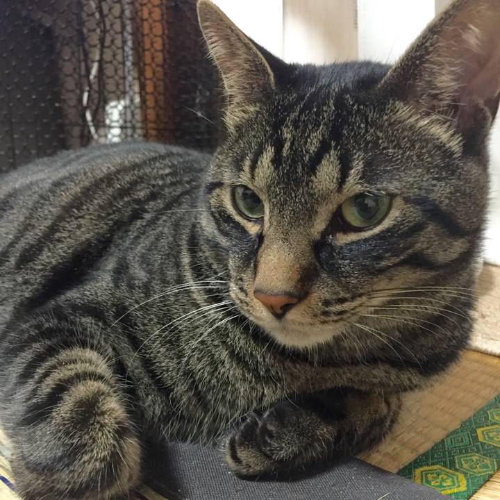 Db24d714 aa17 4050 8e1e 57eff0247ac5