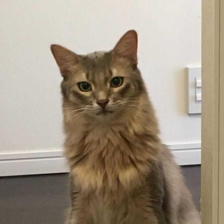 Db252baa 9143 41f4 aee7 16fd68a0b621