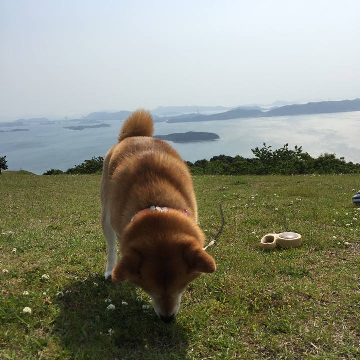 Db2605b1 40a8 4ef8 b9cc caef374d92c5