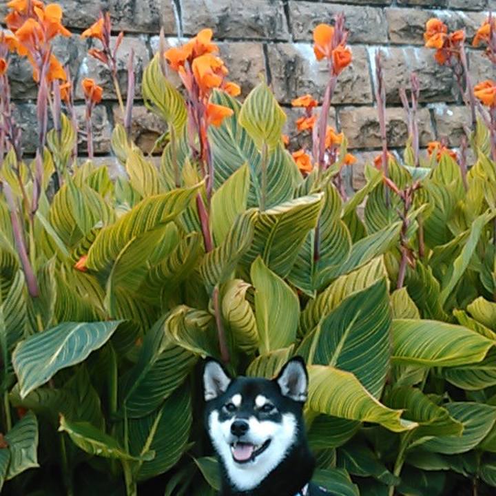 Db26eae6 e8d1 47c4 a5ce 2a08865b56bd