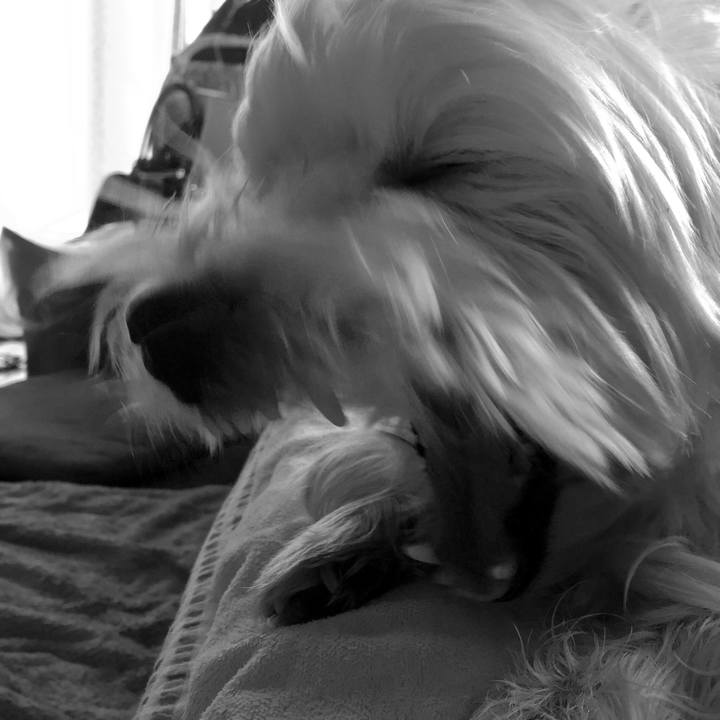 Db26f546 13e7 47d9 ad1c e5114db40bd8