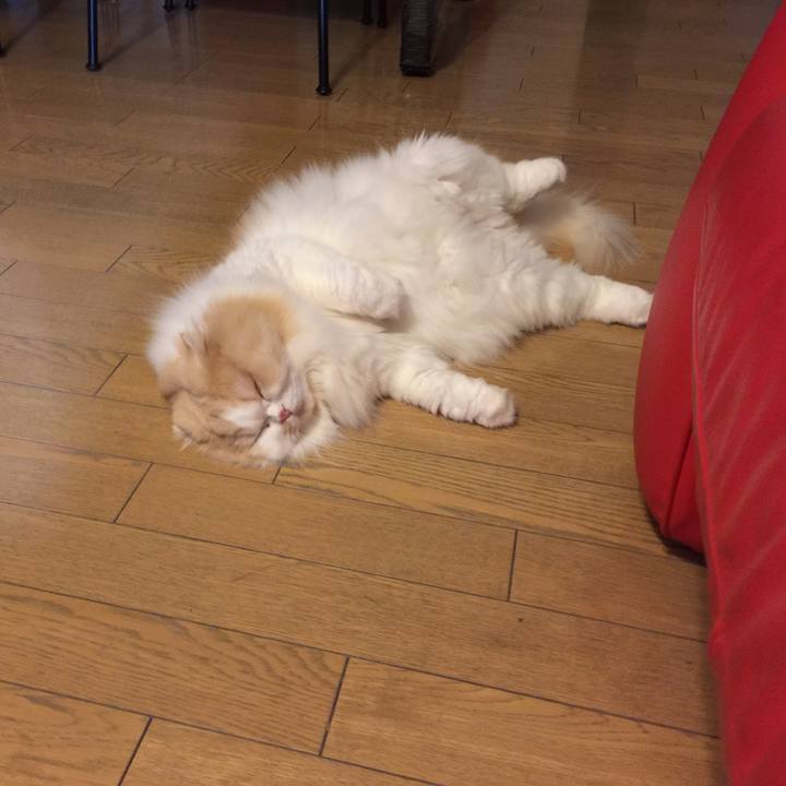 Db2701f0 9b80 4749 b263 4c9ac9196649