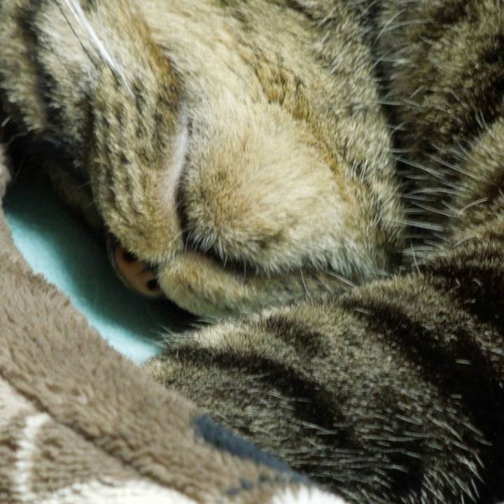 Db270710 543a 49e6 b1a3 2f1dbf67d2cc