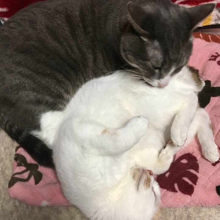 Db273178 1a67 42ab ae0c fa5911672881