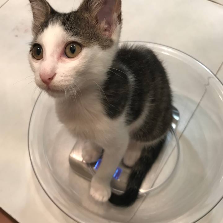 Db274ec2 8397 46a4 b935 404933b05cf2