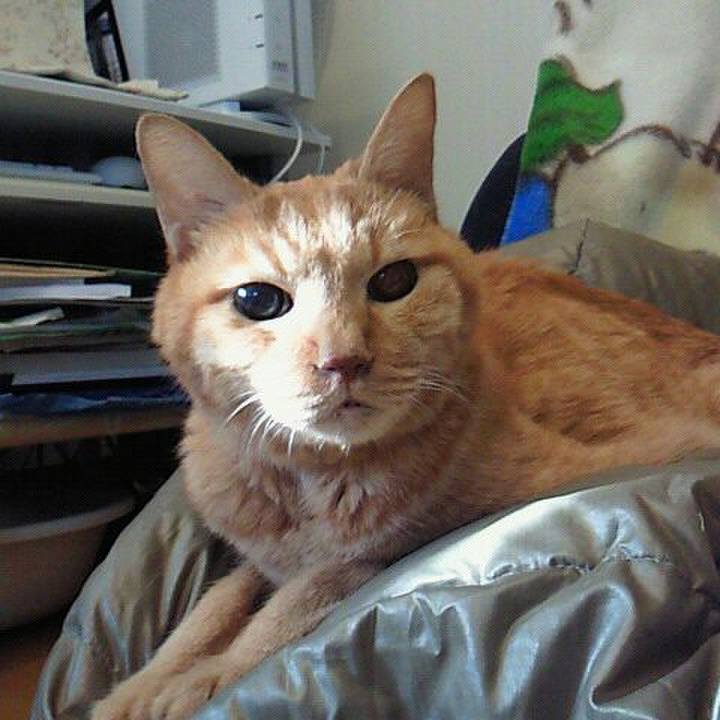 Db291d09 2b9d 430e a3a9 22e987634140