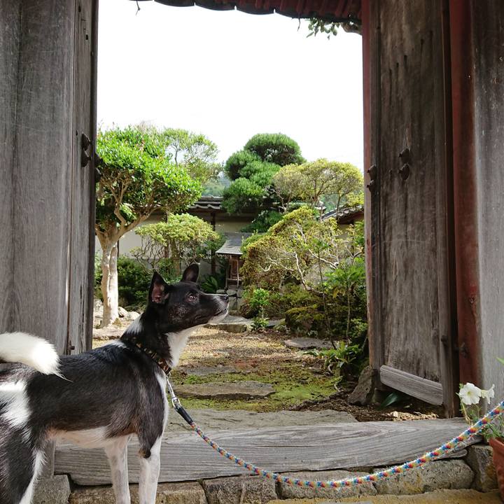 Db2968c5 98f9 4b53 9ac1 0b97dd876f4e