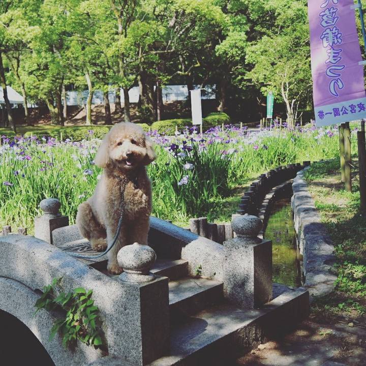 Db298369 79eb 4b91 bf7f 85055bc03fb5