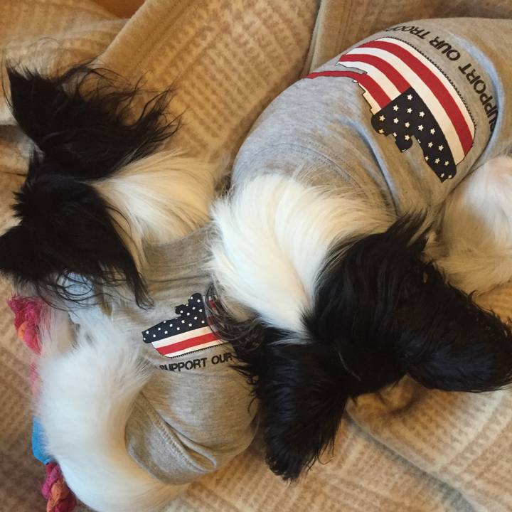 Db29da04 c9f3 4ffd ba77 b8a6baa5d48c