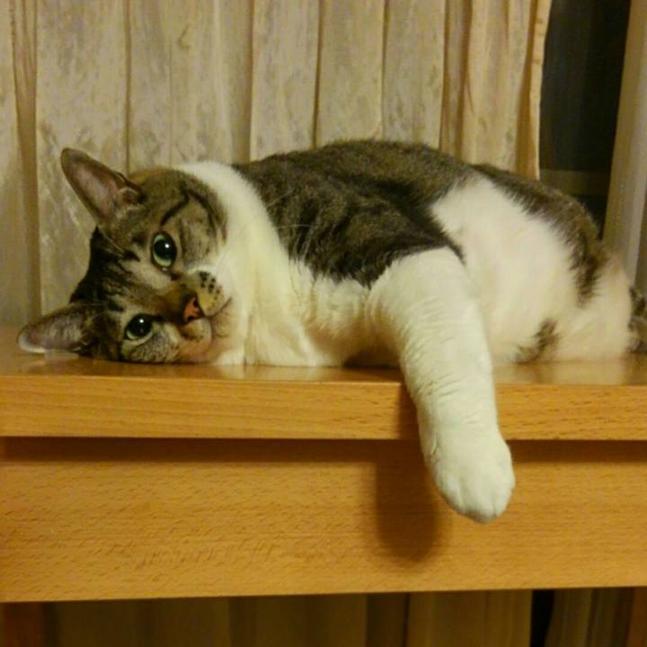 Db29f2e4 2a9c 49c5 bd11 65e534575135