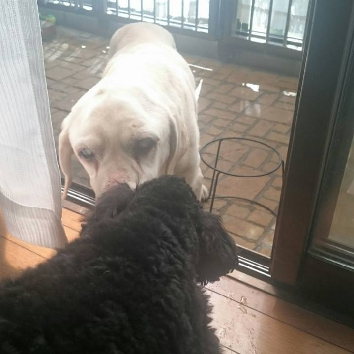 Db2ad45c 8b50 4995 82d8 3c691fb170d0