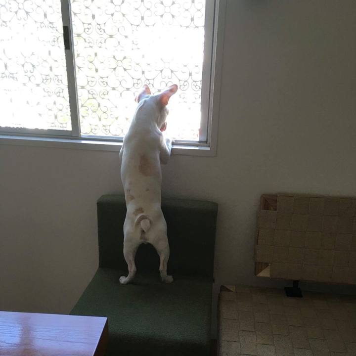 Db2b3b20 36c1 4147 afae 226586c9a91d