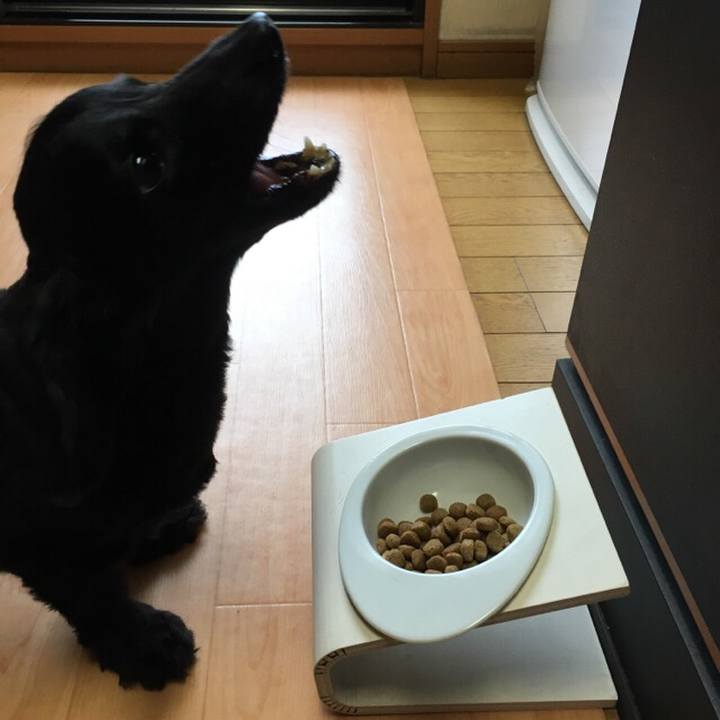 Db2c2c82 4bb8 4785 9877 0dfd5b25afa9