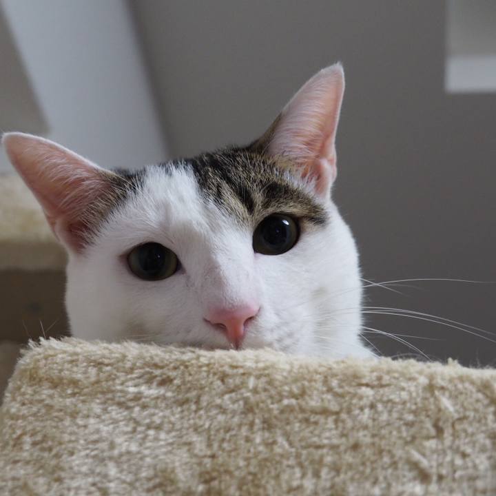 Db2c8b07 97ed 4dfc 96b2 893226e41bc8