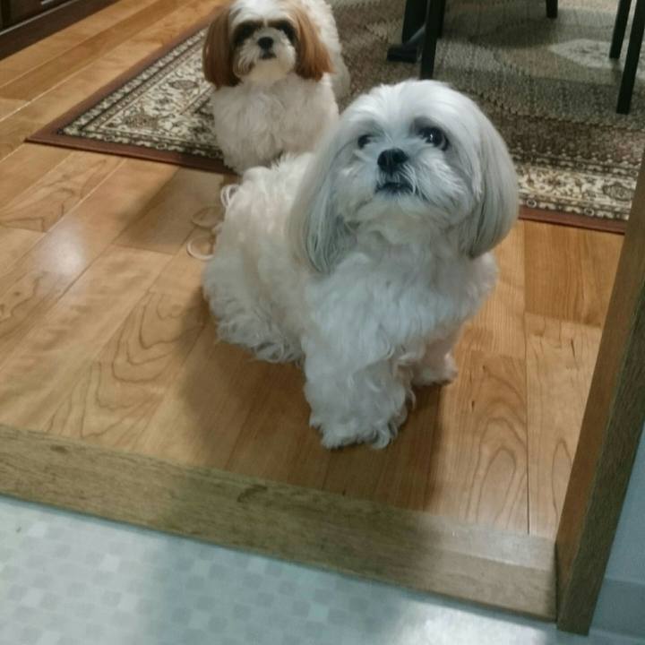 Db2d3246 ade2 4c18 8a27 f063a923875e