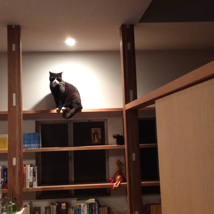 Db2d3d12 cfcc 4327 bfb2 ca9ba7519fa9