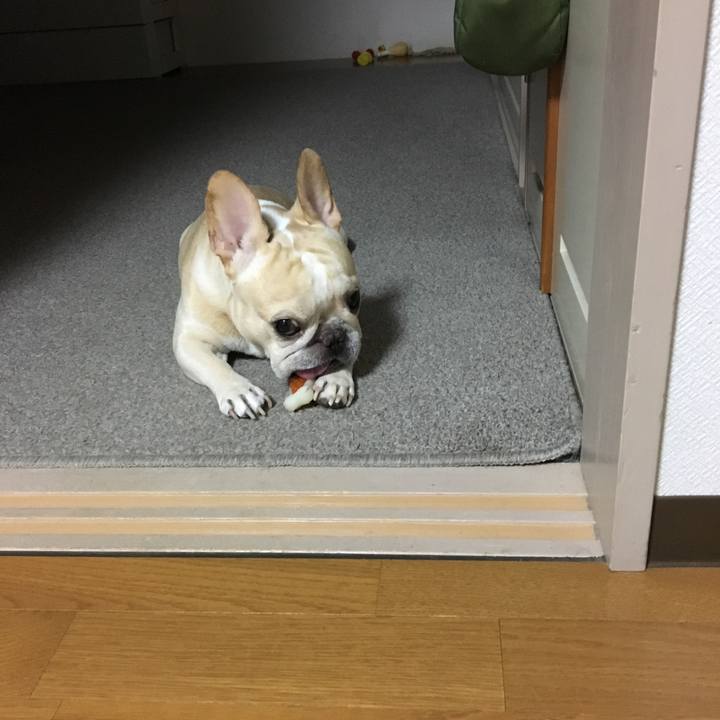 Db2ea9f9 b1c6 4903 b46c 2086c89de279