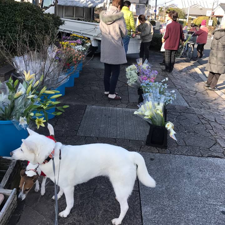 Db2f81b7 e0d0 422e b6fa dd63fdb9b2b6