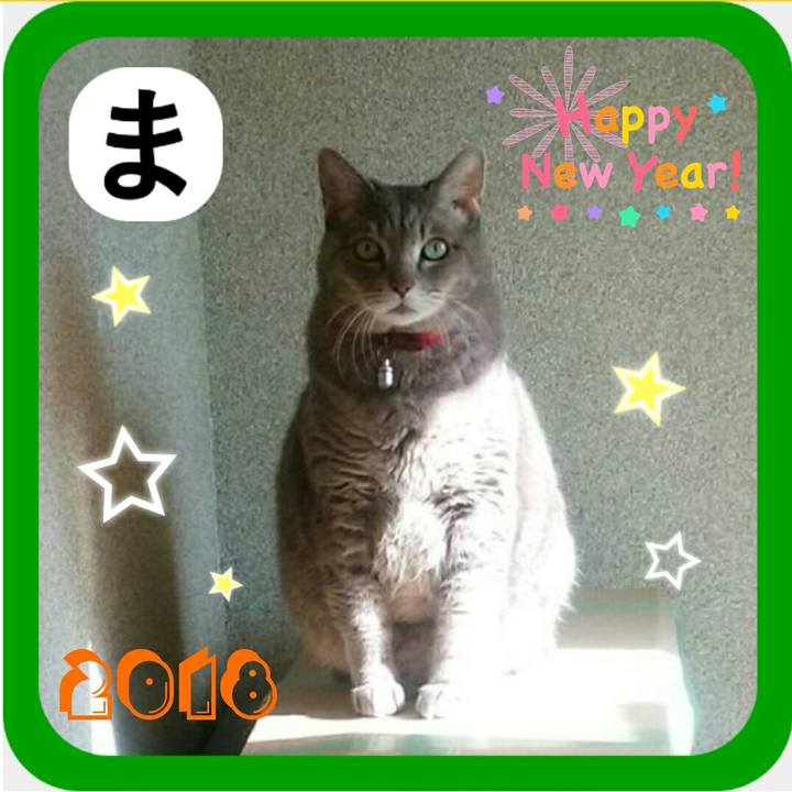 Db2fbd2e bf88 4cb7 ab3a 82943c33169d