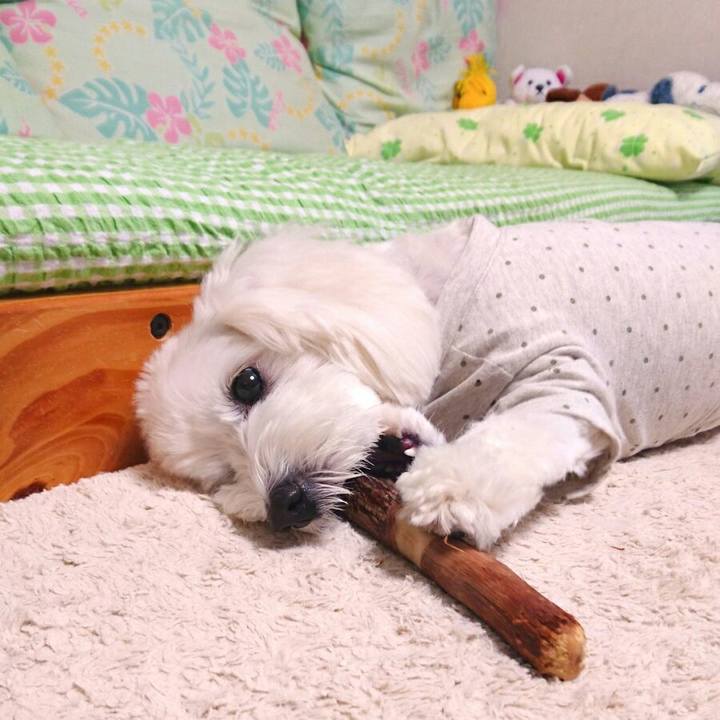 Db2ff13e 1891 469e b911 e62c57e694b9