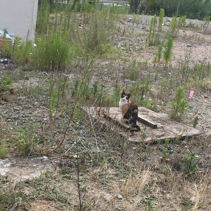 Db3002d7 6e09 4b5f b51a 0642af25b3f0