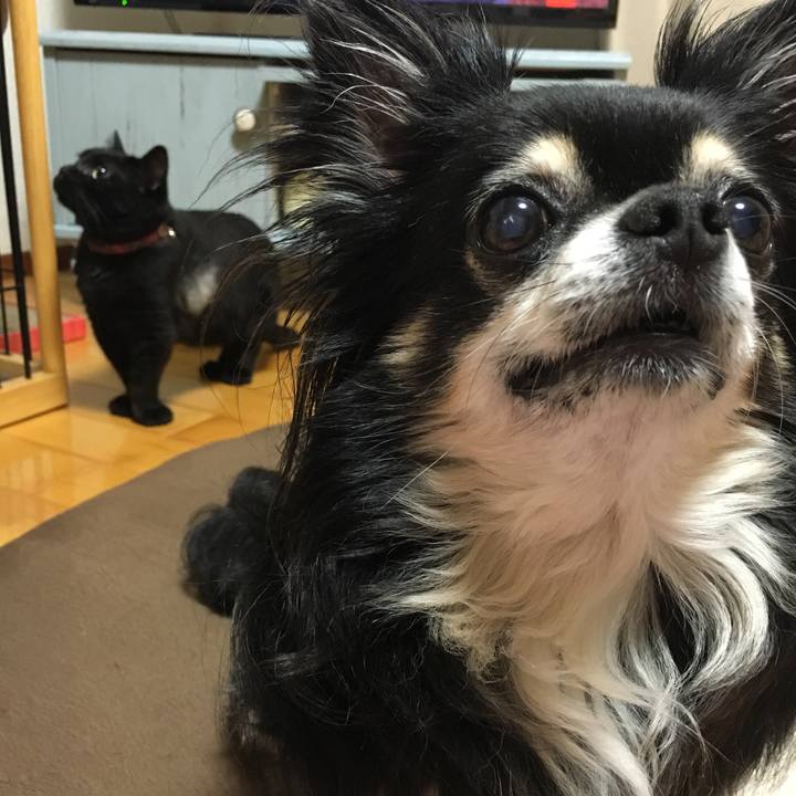 Db303030 9e1f 4368 bd20 eb88dbcebff6