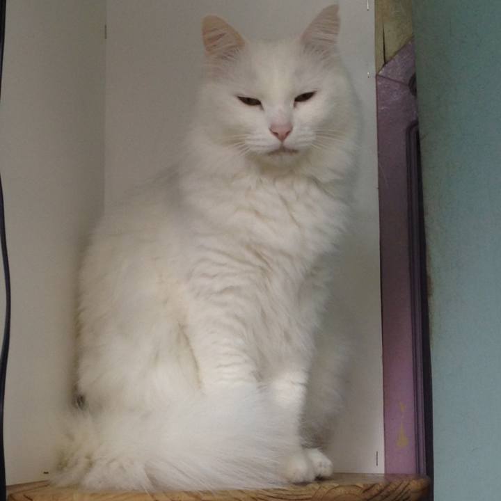 Db303885 c569 472a 9283 9cd82667f775