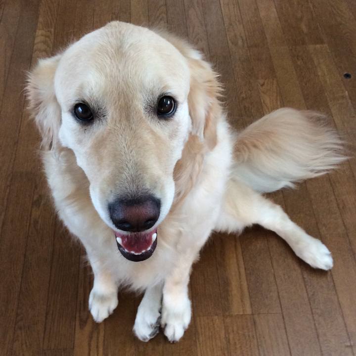 Db3041e6 80ae 4d56 b0bf 819ae7a4191f