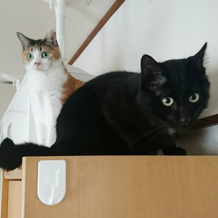 Db30b428 5d2c 4dce 9f8d 3bd8e2ad677e