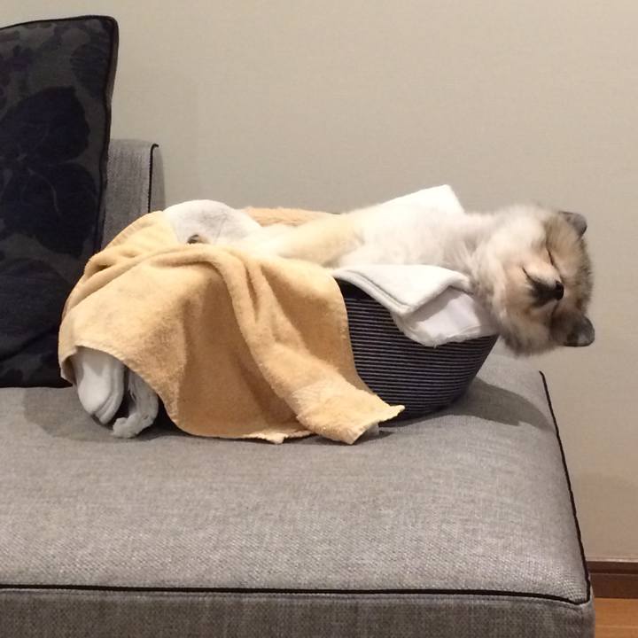 Db3173e3 08bc 4464 abe7 908680ac76f1