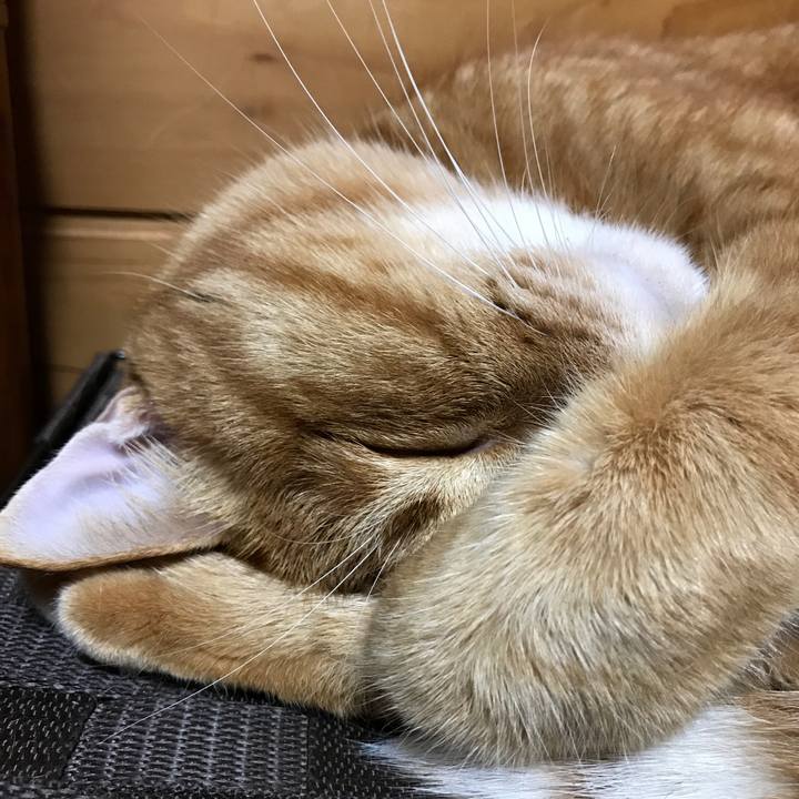 Db32102c 7511 4e46 8c1f 9e56caf9fce0