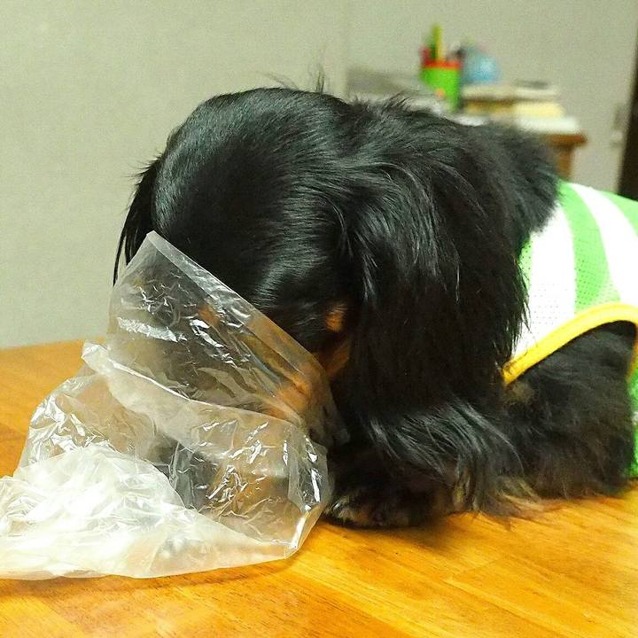 Db325285 b9ed 464c 9b92 878c4e02a0af