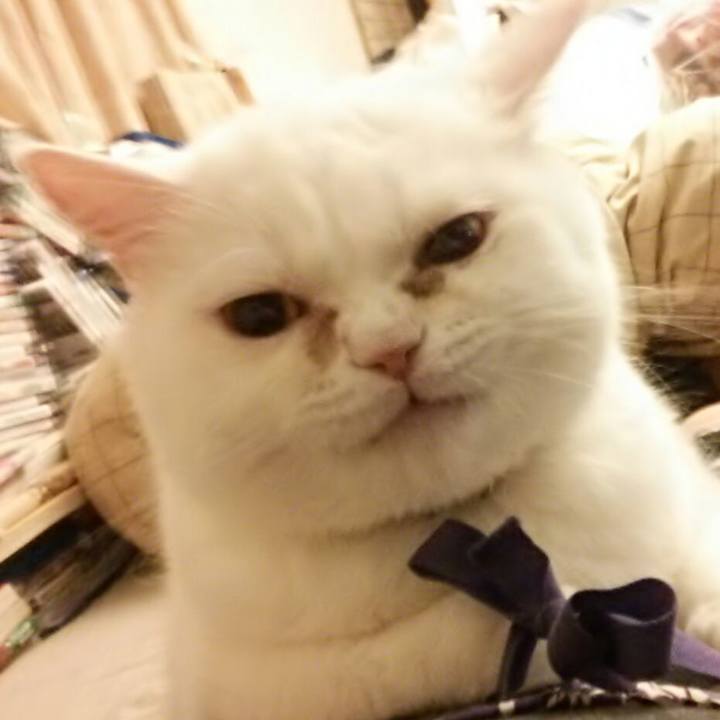 Db330be6 e751 49ef 9574 7f1b8438c4c6