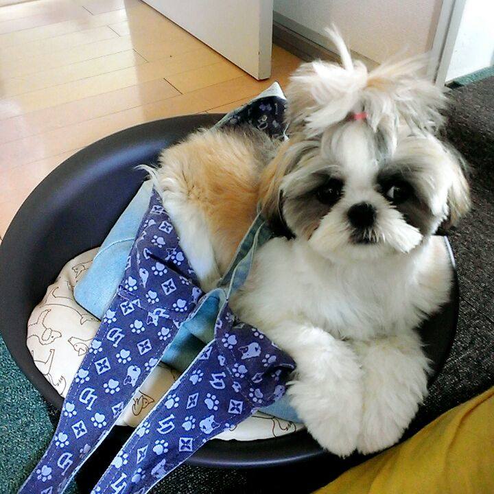 Db333ed6 66f5 4311 9a59 6424d4485c8b