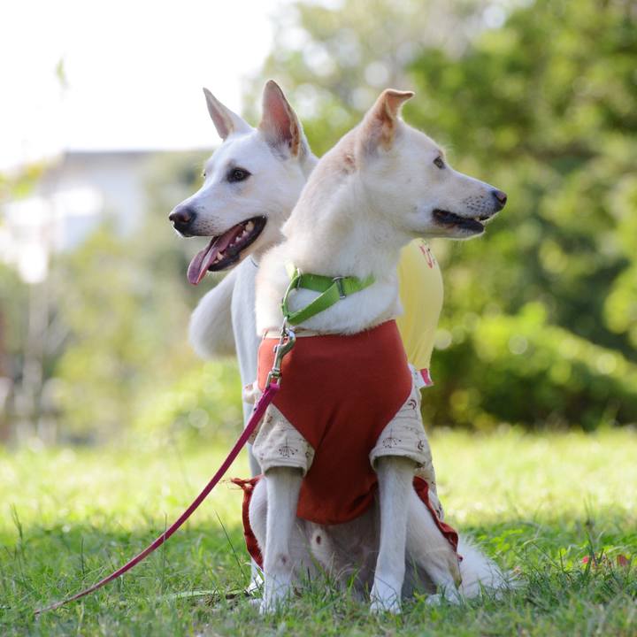 Db341443 da9b 453c bd9f decedb40c2cd