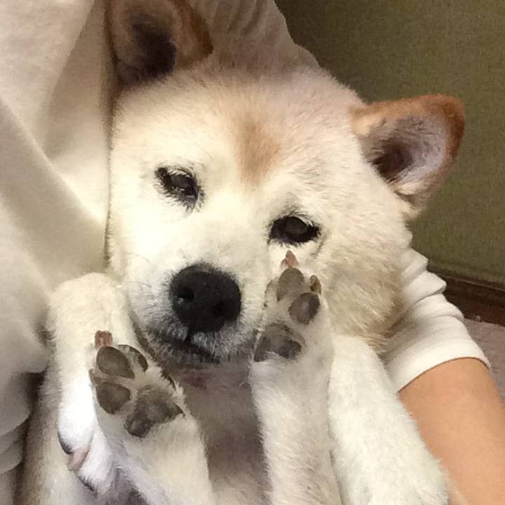 Db34322f f72c 4b2f 9dc6 0a416f5fedc1