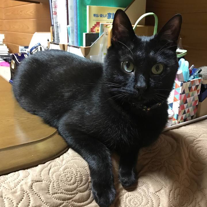 Db346a50 5ef0 461d aad7 b16588401695