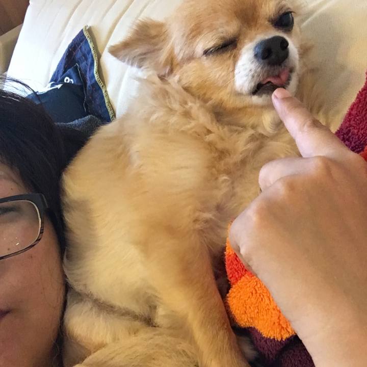 Db347e67 a930 4ddc bd1b 0e05bb2ac683