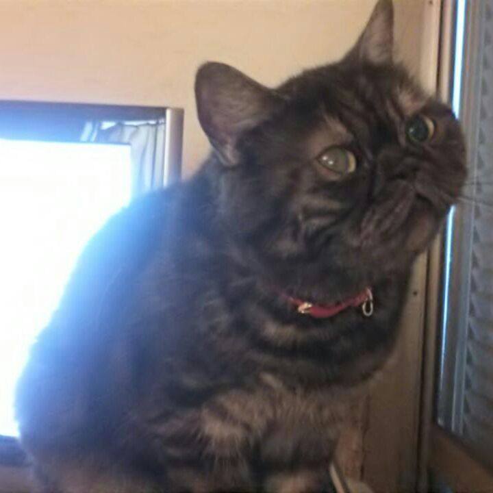 Db35541a 2b69 434c a454 7e85ca431ffc