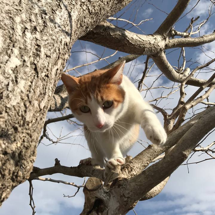 Db356301 45b2 46c7 8ef4 8751964c29dd