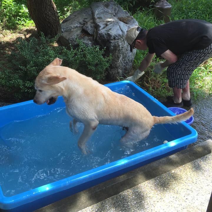 Db360c29 2c25 43a8 a7bc 8d89104ecb2b