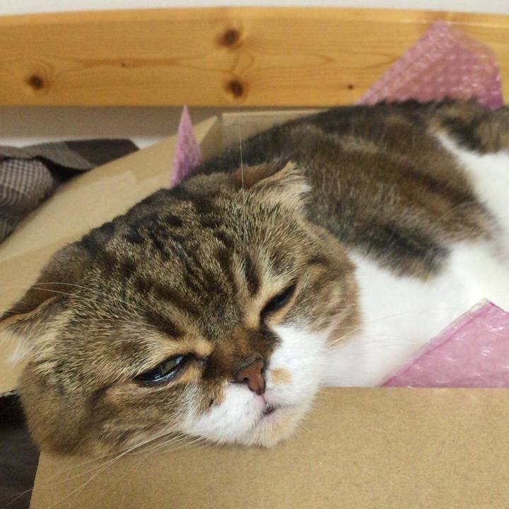 Db366055 fa98 4b34 be8c 88d10c280080