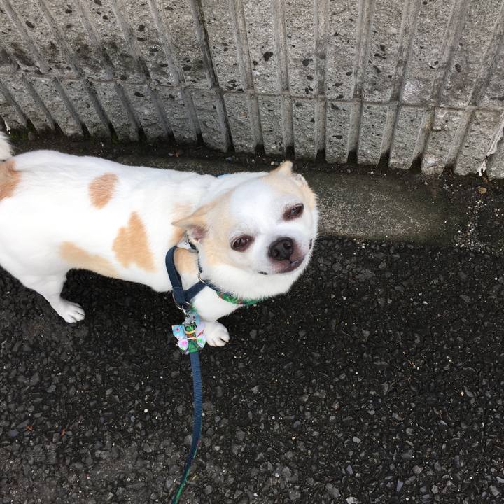 Db3676f7 445e 440a 8a35 2de7328fcad4