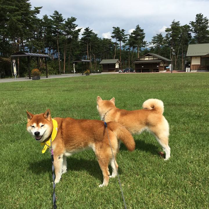 Db368a8f 6503 49ca bfef 81e066003760