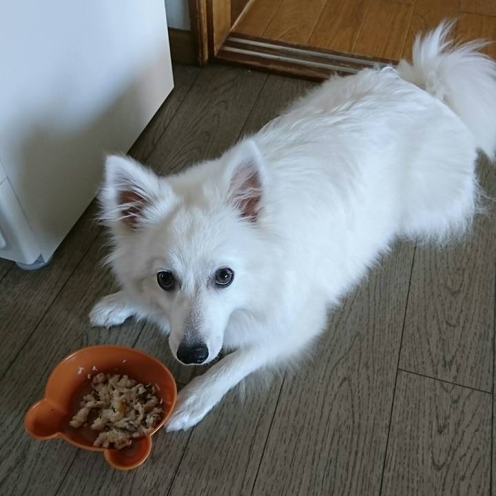 Db36d4bf cd8e 4a22 b3ce 4cb303179e0d