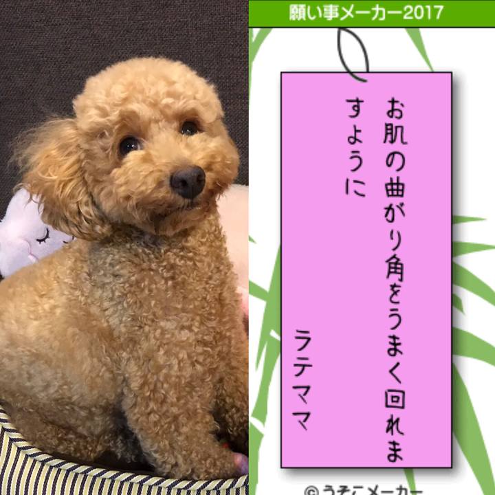 Db373947 2013 4a86 8b80 813aa36afb03