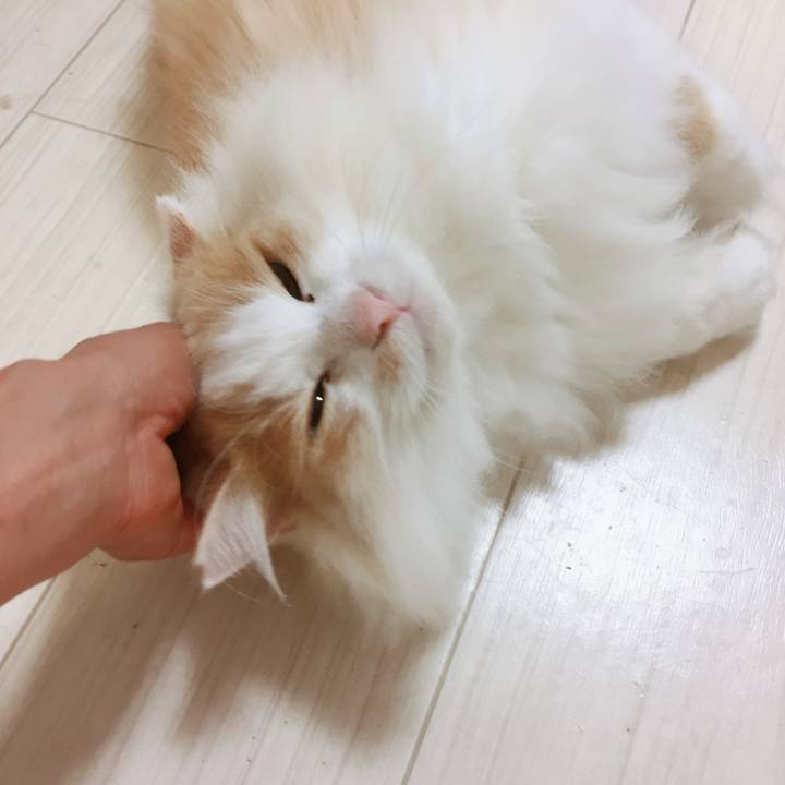 Db37a17e 2af3 47d4 85cf 2489f5bb0ca6