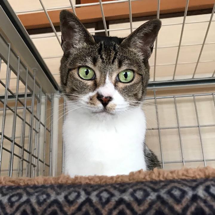 Db39174b 6baa 4b43 8f0a 296795780955