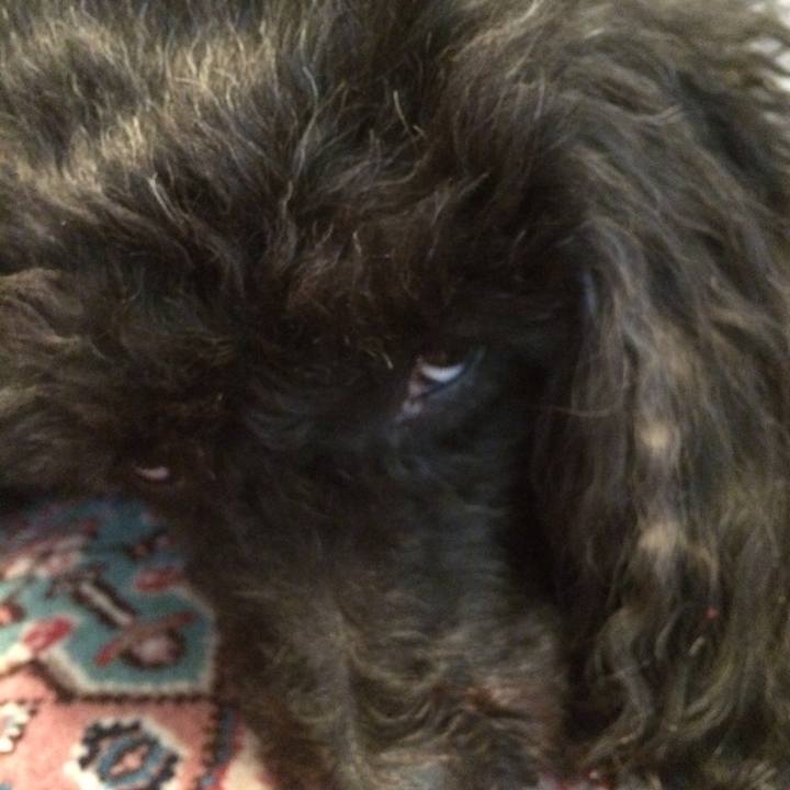 Db39366f 00c9 429b aa6d 5a2458d05414